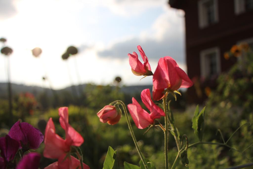 B&B Hofgenuss Ganterschwil Ngoại thất bức ảnh